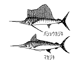 梶木
