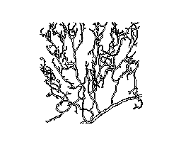 水雲(1)