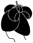天神髷