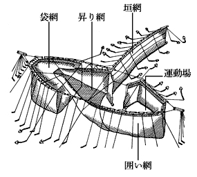 落し網