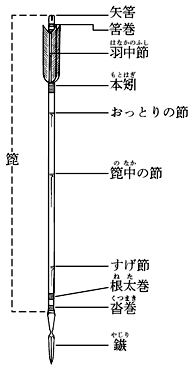 矢