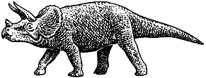 トリケラトプス