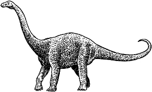アパトサウルス
