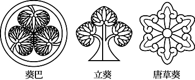 葵