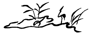 葦手