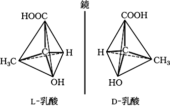 鏡像体
