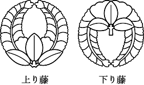 藤