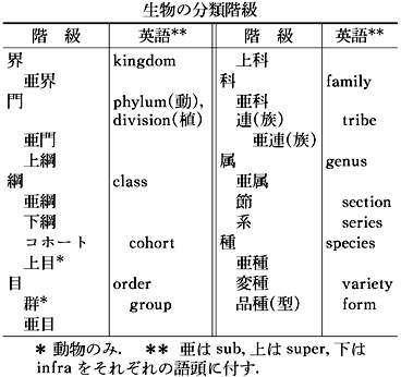 生物の分類階級(表)