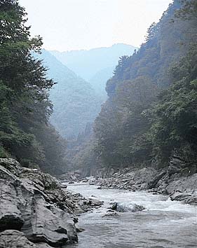 荒川(関東)上流
撮影:山梨勝弘