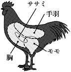 鶏肉