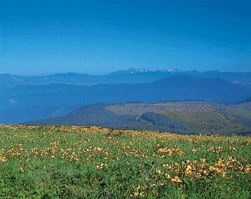 霧ヶ峰
撮影:山梨勝弘