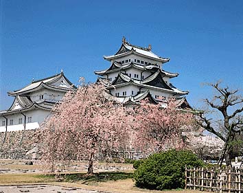 名古屋城
撮影:山梨勝弘