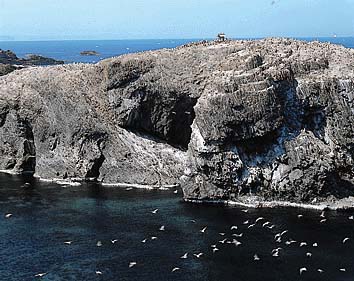 経島
撮影:山梨勝弘