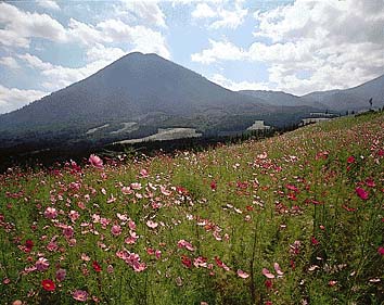 夷守岳
撮影:山梨勝弘