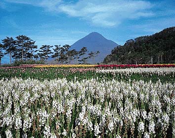開聞岳
撮影:山梨勝弘