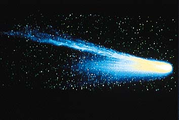 ハリー彗星(コンピューター画像処理)
提供:東京大学理学部木曽観測所