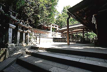 春日若宮神社
撮影:的場 啓