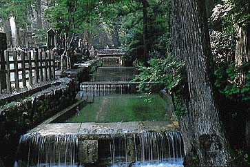 高野の玉川
撮影:的場 啓