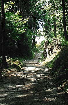 山辺の道
撮影:的場 啓