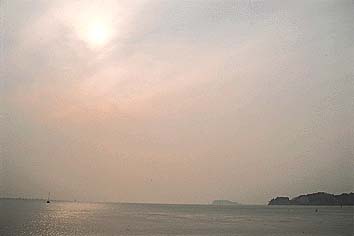 朧雲
撮影:高橋健司