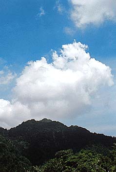 綿雲
撮影:高橋健司