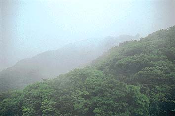 霧雲
撮影:高橋健司