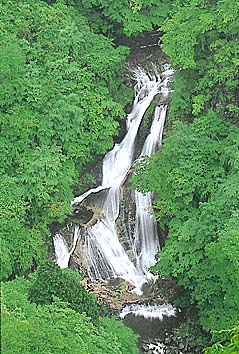 霧降の滝
撮影:関戸 勇