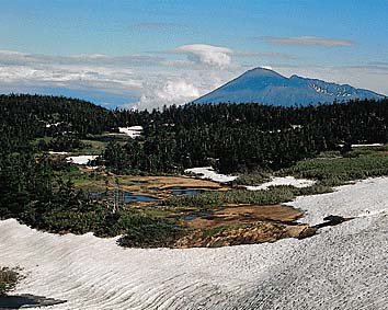 八幡平と岩手山
提供:オフィス史朗