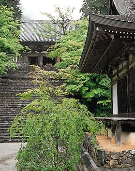 神護寺
撮影:新海良夫