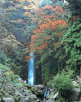 養老の滝
撮影:新海良夫