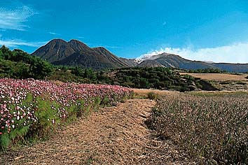 九重山
撮影:関戸 勇
