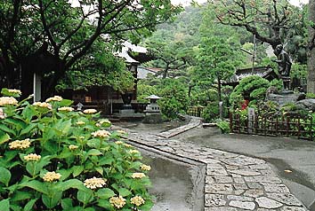 光触寺
撮影:関戸 勇