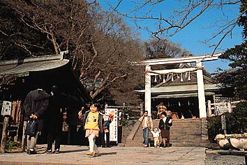 鎌倉宮
撮影:関戸 勇