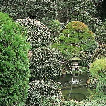 日本庭園
撮影:関戸 勇