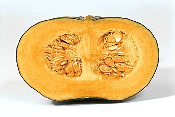 カボチャ(断面)
撮影:関戸 勇