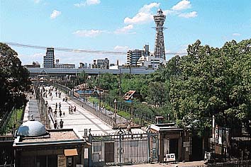 天王寺公園
撮影:的場 啓