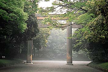 明治神宮(境内)
撮影:関戸 勇