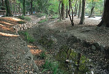 瀬見の小川
撮影:的場 啓