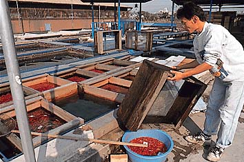 大和郡山 金魚の養殖
撮影:的場 啓