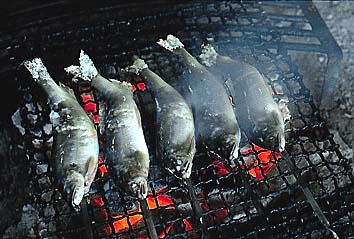 鮎の塩焼
撮影:関戸 勇