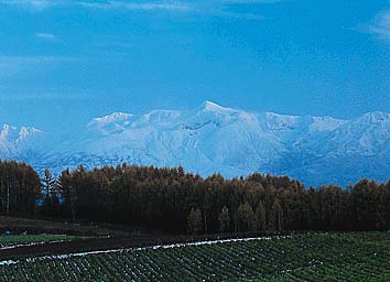 十勝岳
撮影:新海良夫