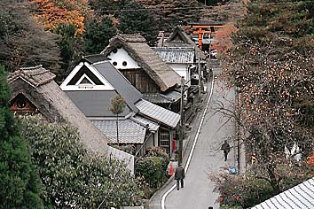 徒野
撮影:的場 啓