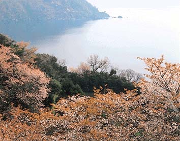 若狭湾(2)
撮影:佐藤 尚