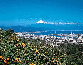 日本平からの眺望
撮影:佐藤 尚
