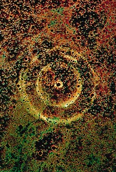 超新星1987A
撮影:Anglo-Australian Observatory,photograph by David Malin