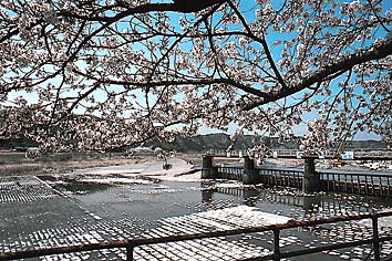 羽村堰
提供:東京都