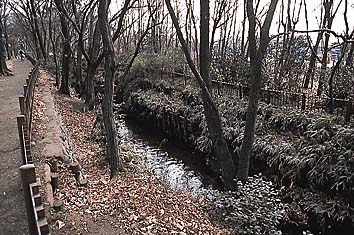 野火止用水
提供:東京都