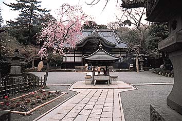 深大寺
提供:東京都
