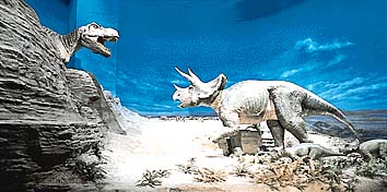 トリケラトプス(右)とティラノサウルス(左)の復元模型
提供:国立科学博物館