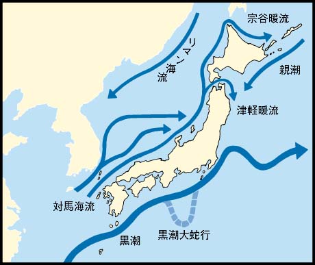 日本近海の海流